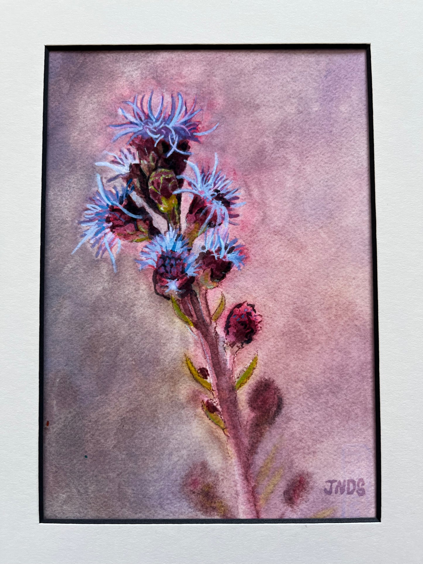 Roadside Flowers