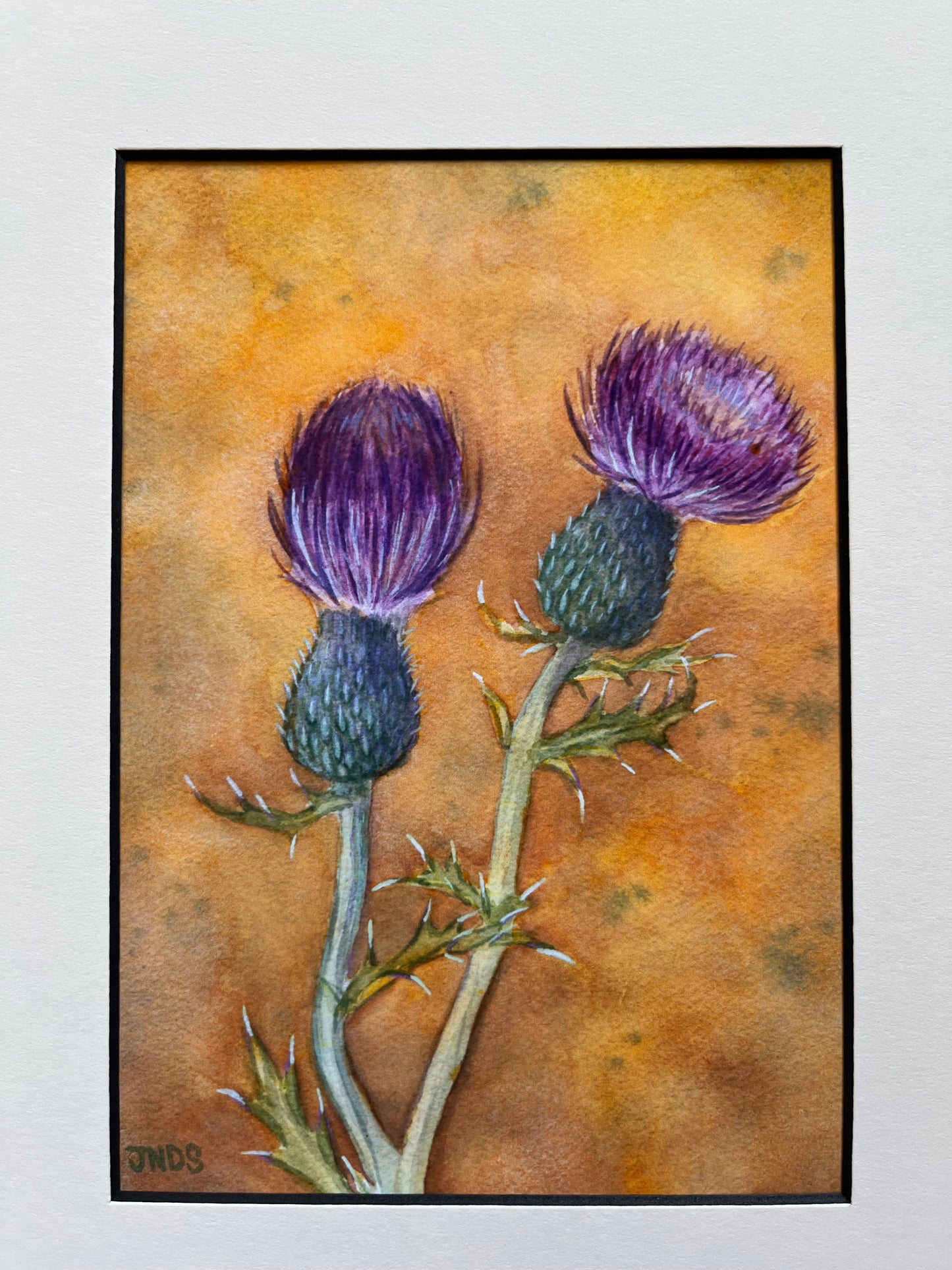 Thistle