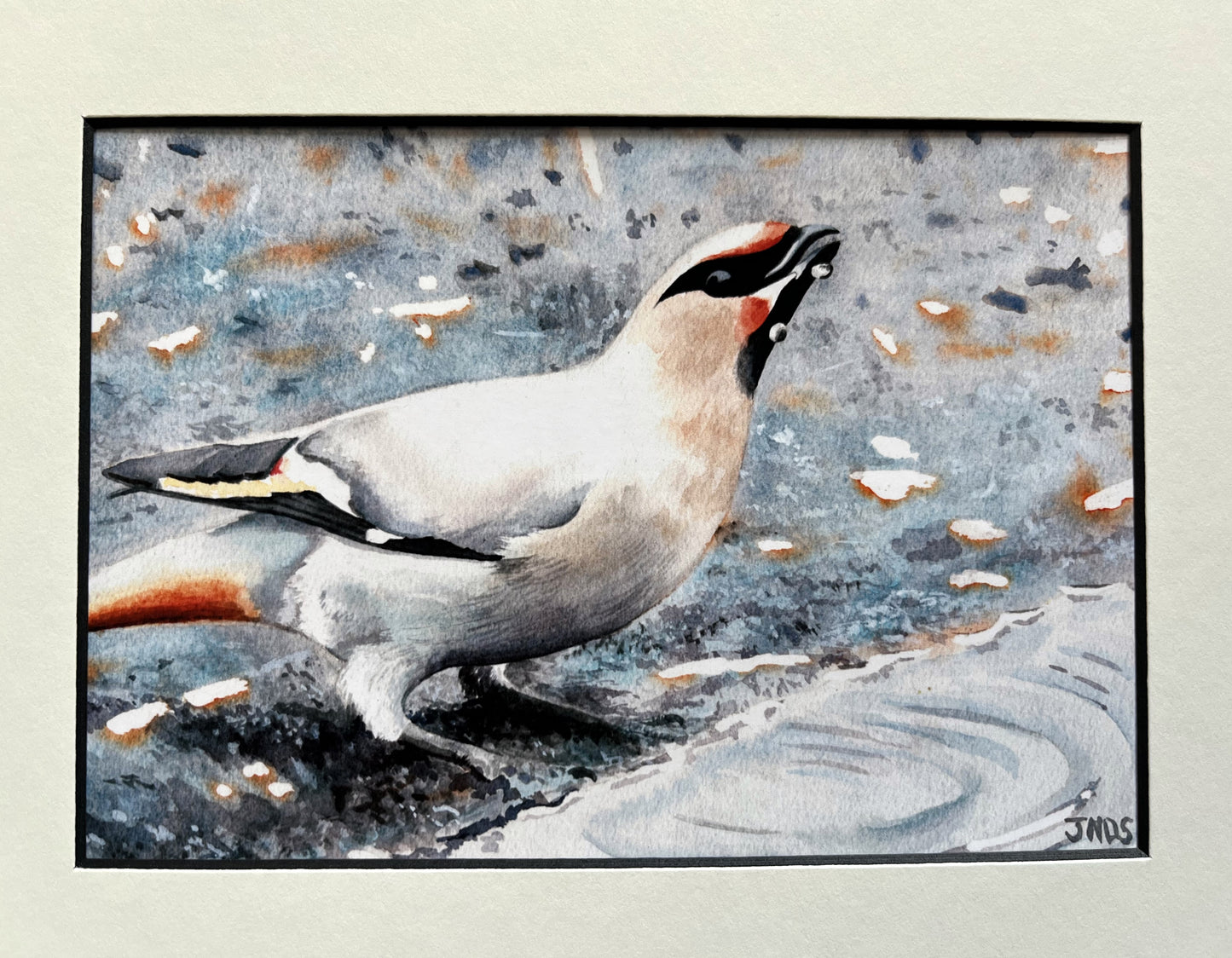 Waxwing
