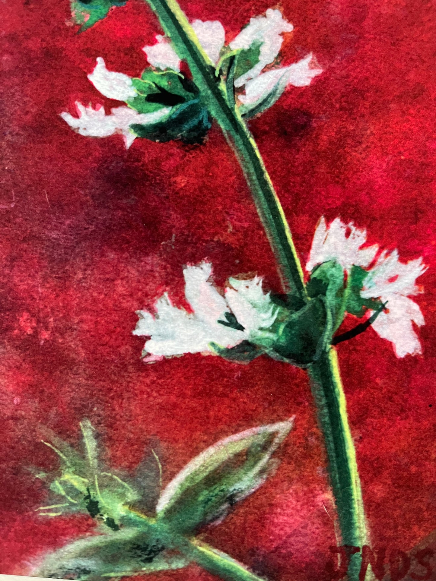 Flowers on Red