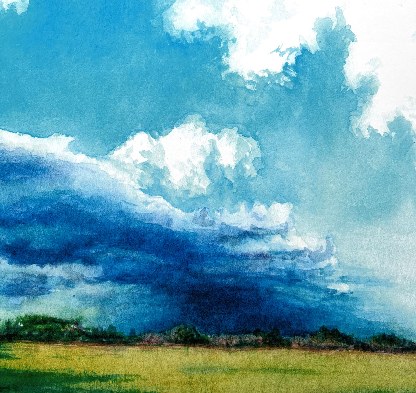 Wheat Field Rain Showers