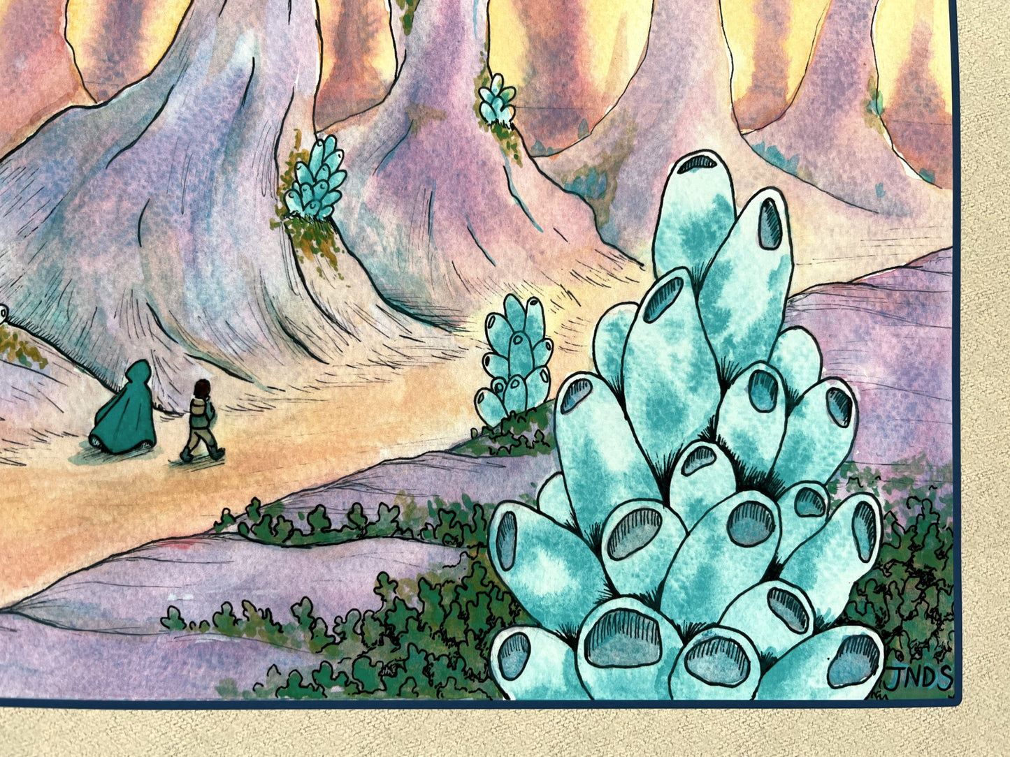 Coral Desert