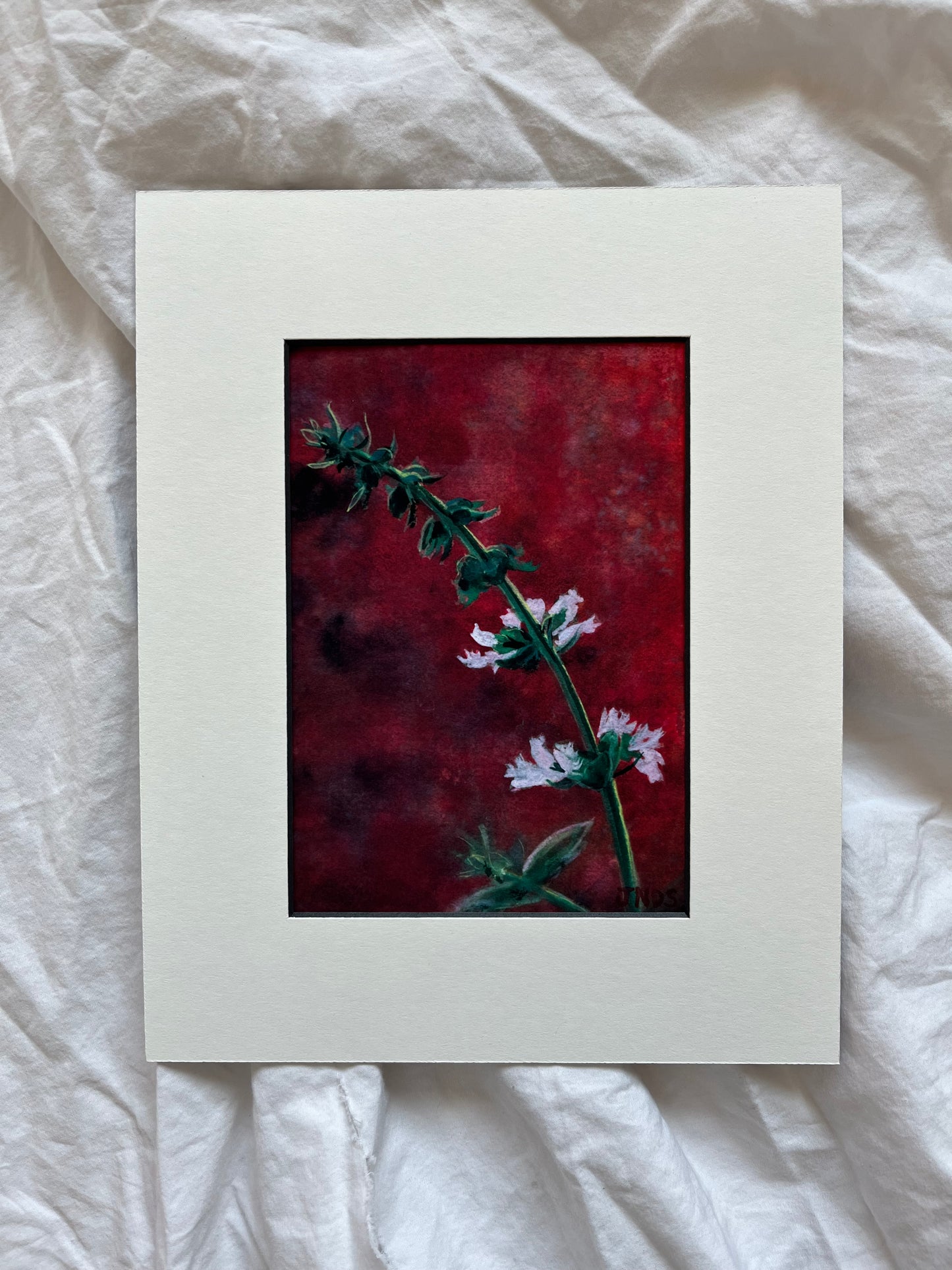Flowers on Red