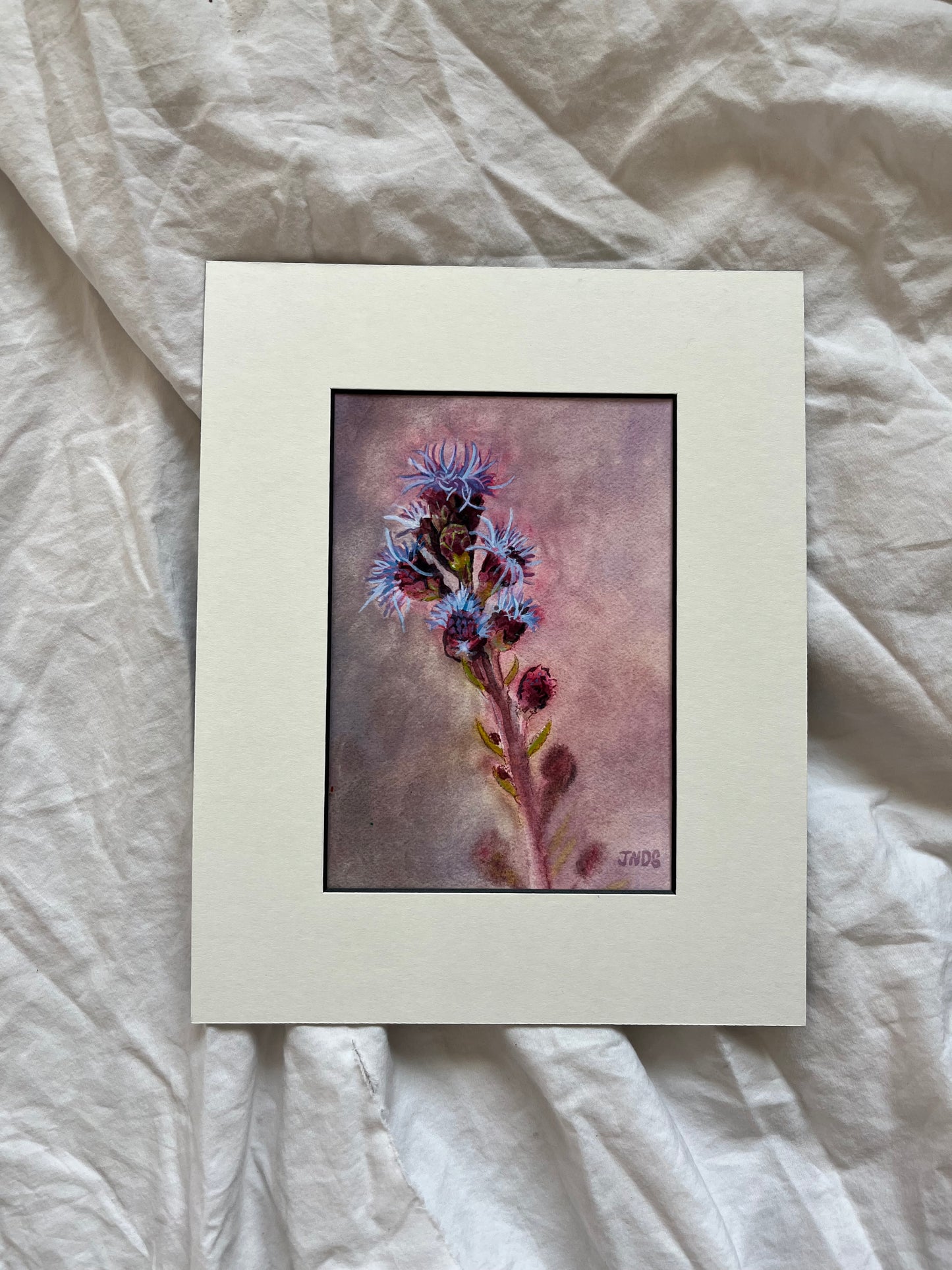 Roadside Flowers